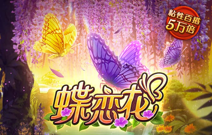 九球体育